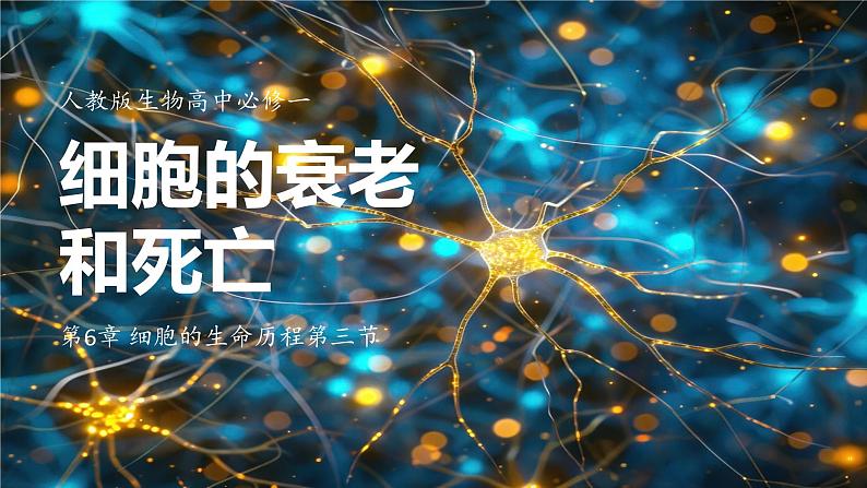 6.3细胞的衰老和死亡 教学课件 高一上学期 人教版（2019）高中生物必修一01