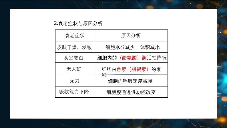 6.3细胞的衰老和死亡 教学课件 高一上学期 人教版（2019）高中生物必修一05