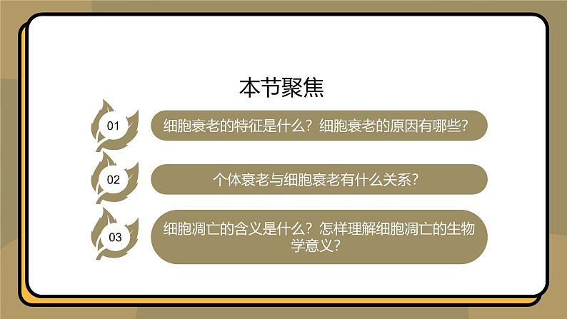 6.3细胞的衰老和死亡 教学课件 高一上学期 人教版（2019）高中生物必修1第2页