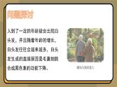 6.3细胞的衰老和死亡 教学课件 高一上学期 人教版（2019）高中生物必修1