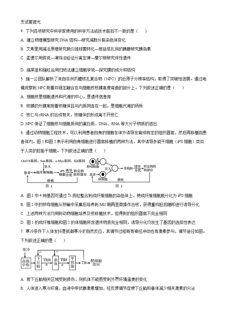 广东省八校2024-2025学年高三上学期8月联合检测生物试题（原卷版+解析版）02