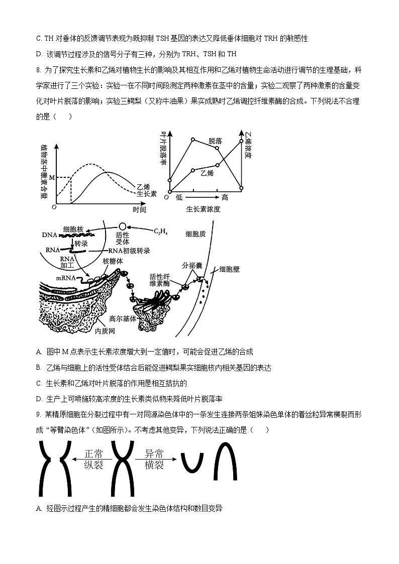 广东省八校2024-2025学年高三上学期8月联合检测生物试题（原卷版+解析版）03