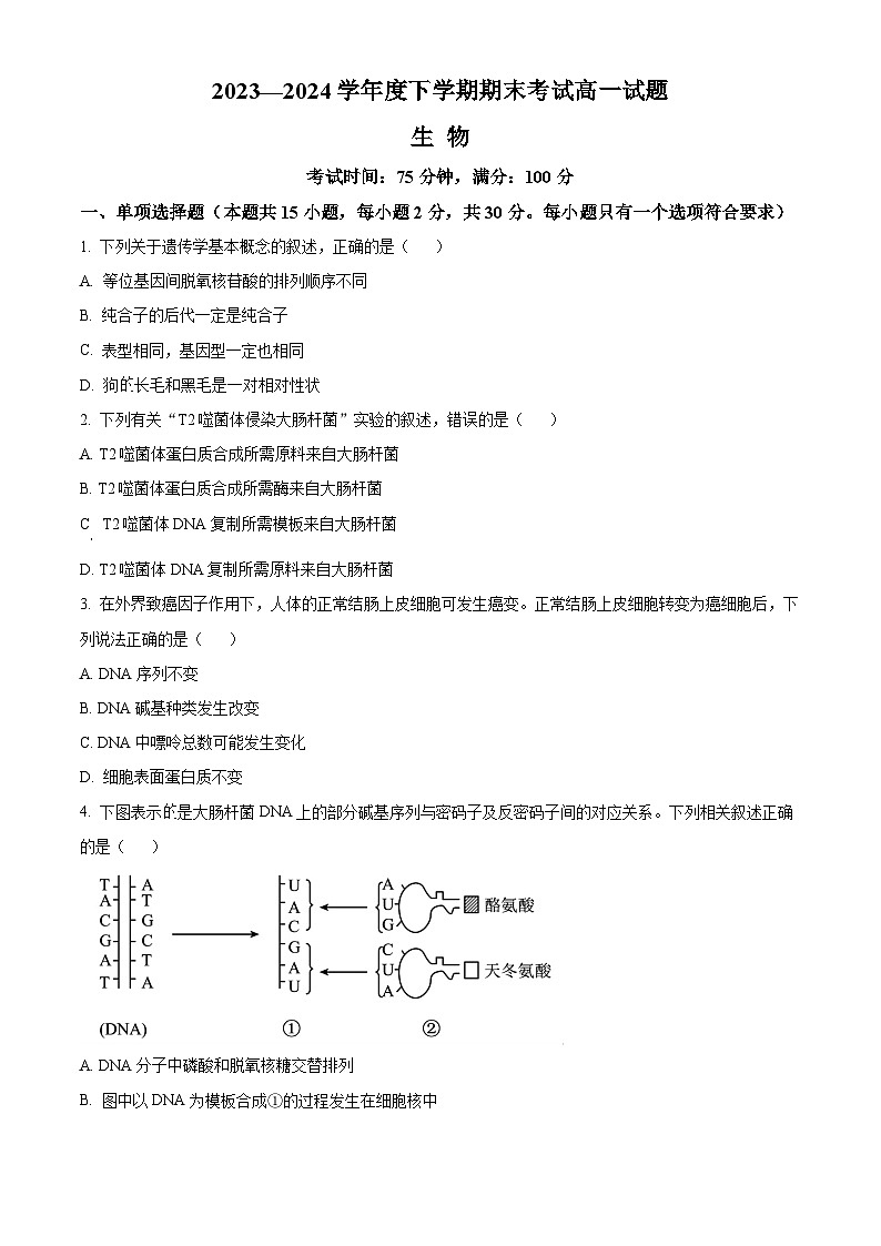 2024辽宁省名校联盟高一下学期7月期末考试生物含解析第1页