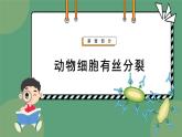 6.1细胞的增殖 第2课时 教学课件 高一上学期 人教版（2019）高中生物必修1