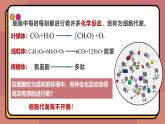 5.1降低化学反应活化能的酶 第1课时 课件-2024-2025学年高一上生物人教版（2019）必修1