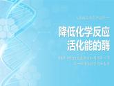 5.1降低化学反应活化能的酶 第1课时课件-2024-2025学年高一上生物人教版（2019）必修1