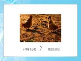 5.1降低化学反应活化能的酶 第1课时课件-2024-2025学年高一上生物人教版（2019）必修1