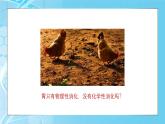 5.1降低化学反应活化能的酶 第1课时课件-2024-2025学年高一上生物人教版（2019）必修1