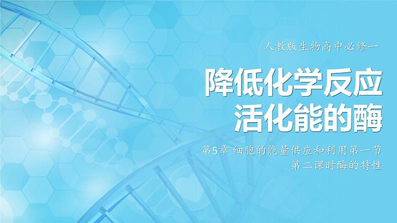 5.1降低化学反应活化能的酶 第2课时课件-2024-2025学年高一上生物人教版（2019）必修1第1页