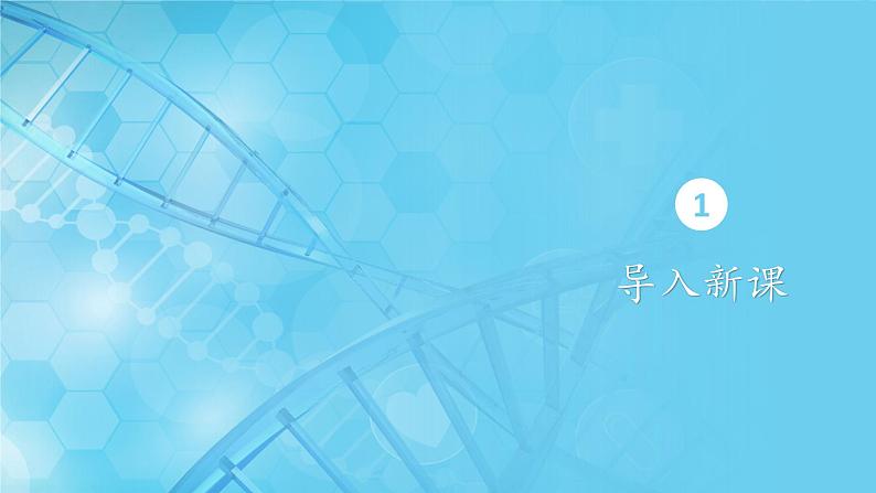 5.1降低化学反应活化能的酶 第2课时课件-2024-2025学年高一上生物人教版（2019）必修1第2页