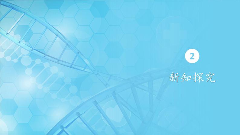 5.1降低化学反应活化能的酶 第2课时课件-2024-2025学年高一上生物人教版（2019）必修1第5页