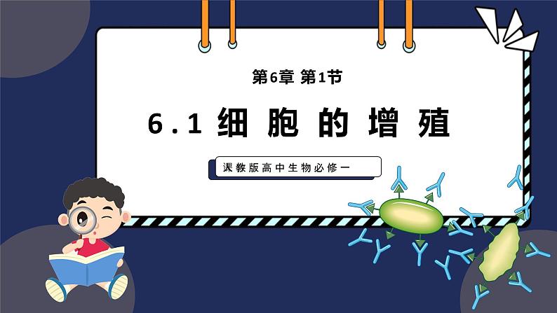 6.1细胞增殖 第1课时 教学课件 高一上学期 人教版（2019）高中生物必修101