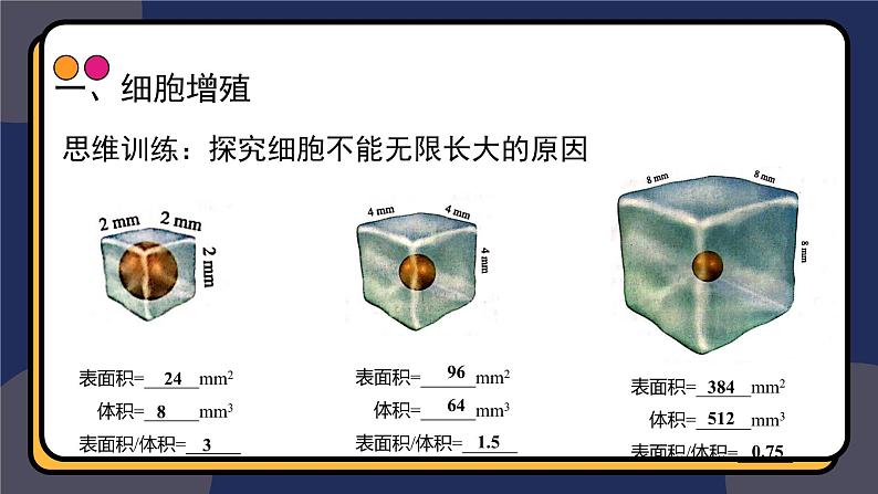 6.1细胞增殖 第1课时 教学课件 高一上学期 人教版（2019）高中生物必修107