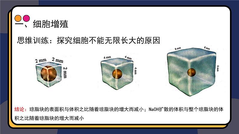 6.1细胞增殖 第1课时 教学课件 高一上学期 人教版（2019）高中生物必修108