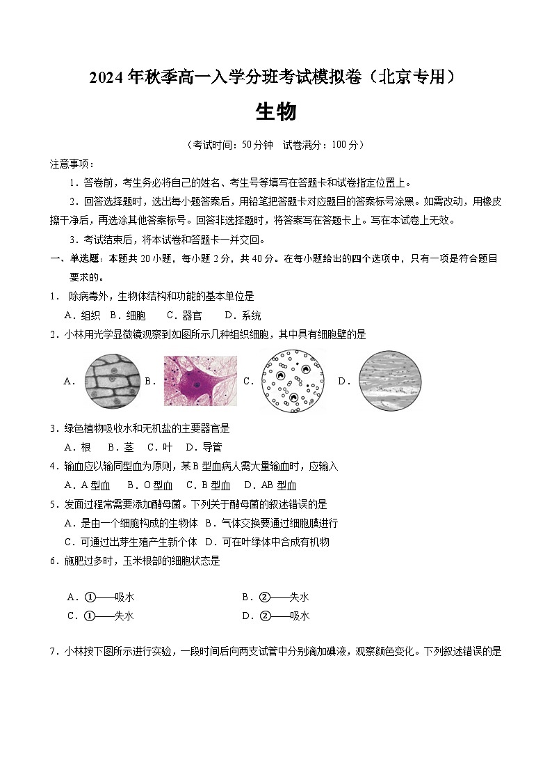 高一生物（北京专用）（考试版）第1页