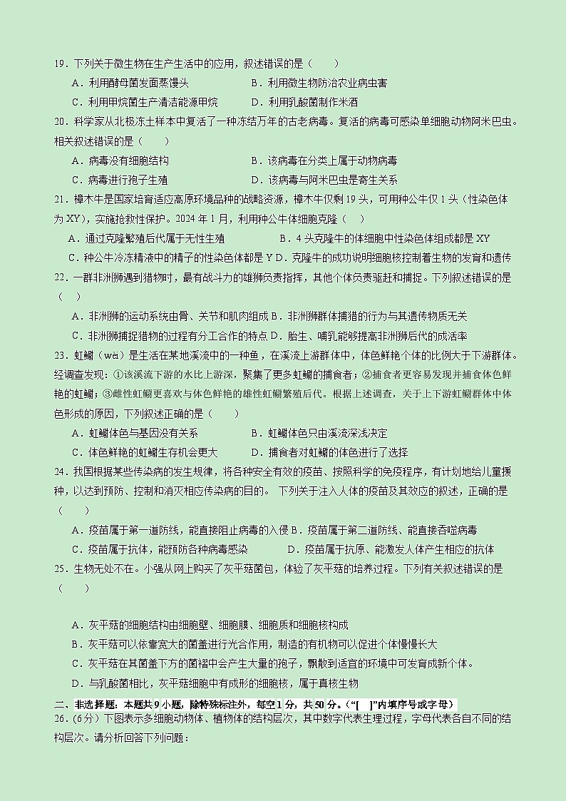 高一生物（新高考通用）01（考试版）第3页