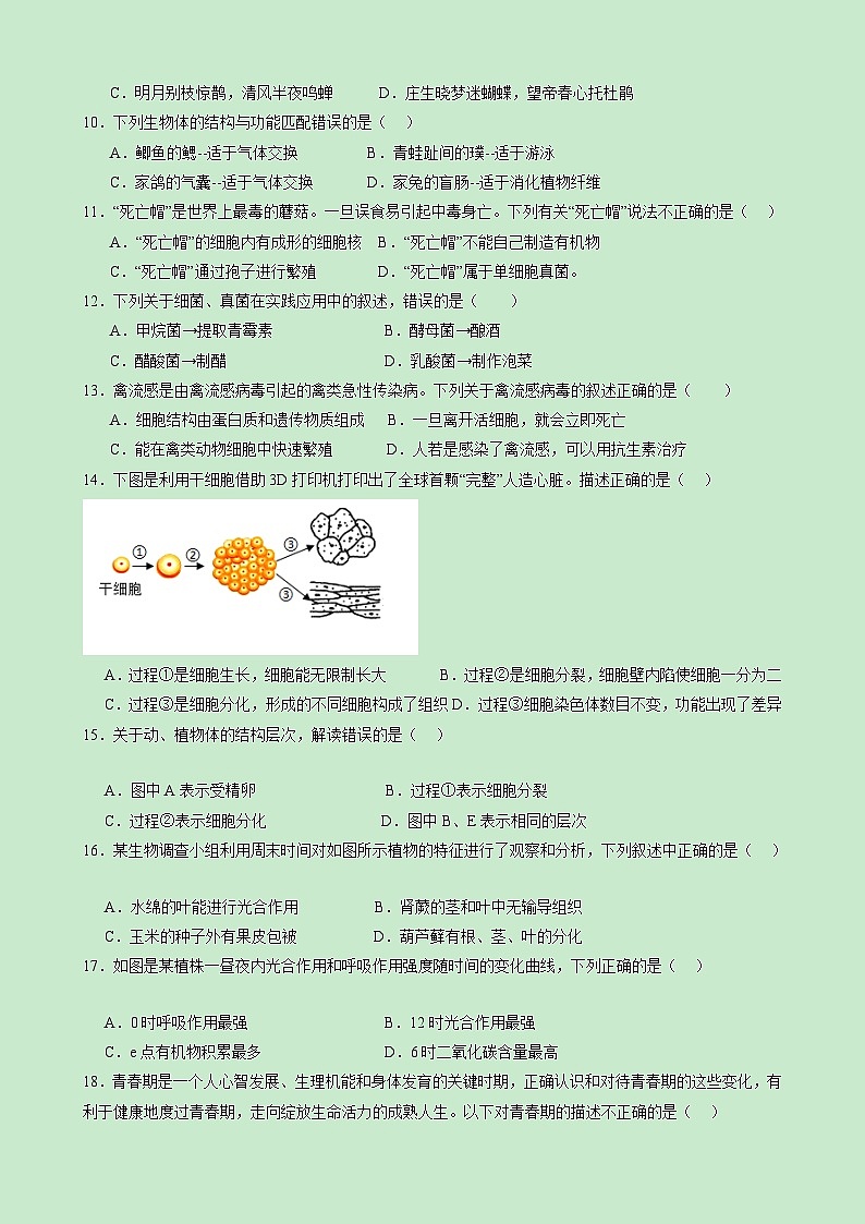 【开学考】2024年秋季高一上入学分班考试模拟卷生物（新高考通用）0202