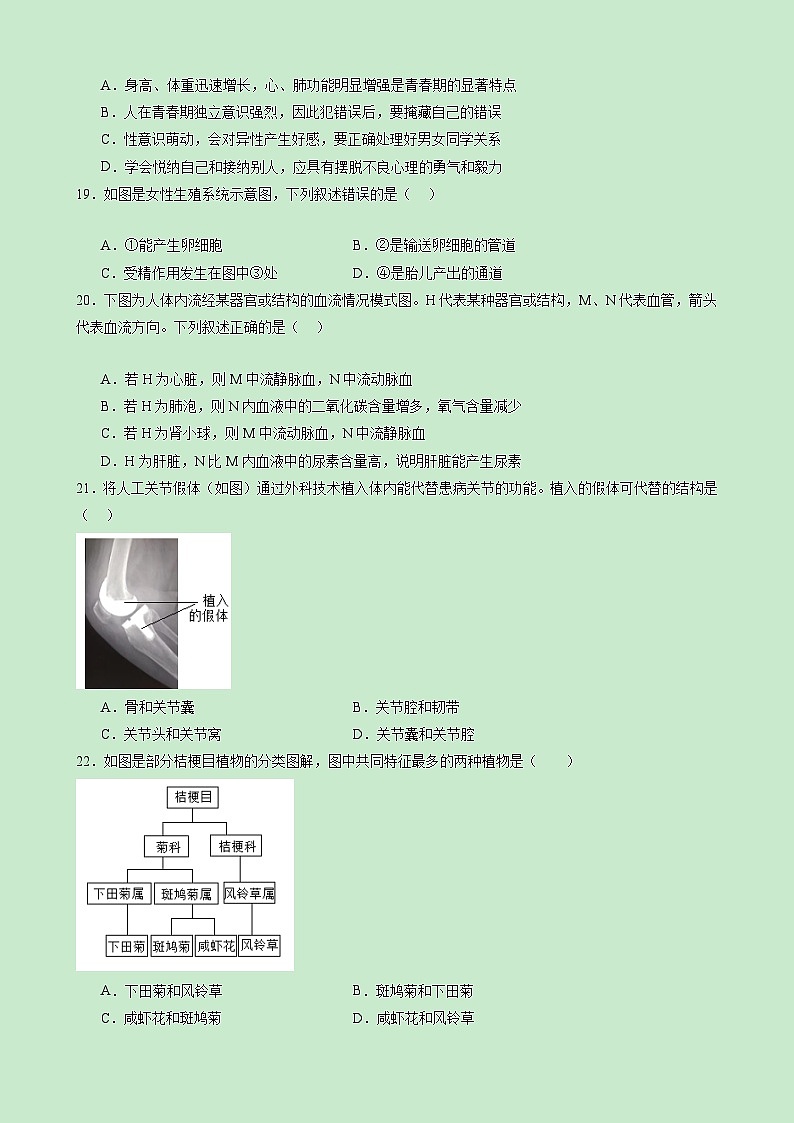 【开学考】2024年秋季高一上入学分班考试模拟卷生物（新高考通用）0203