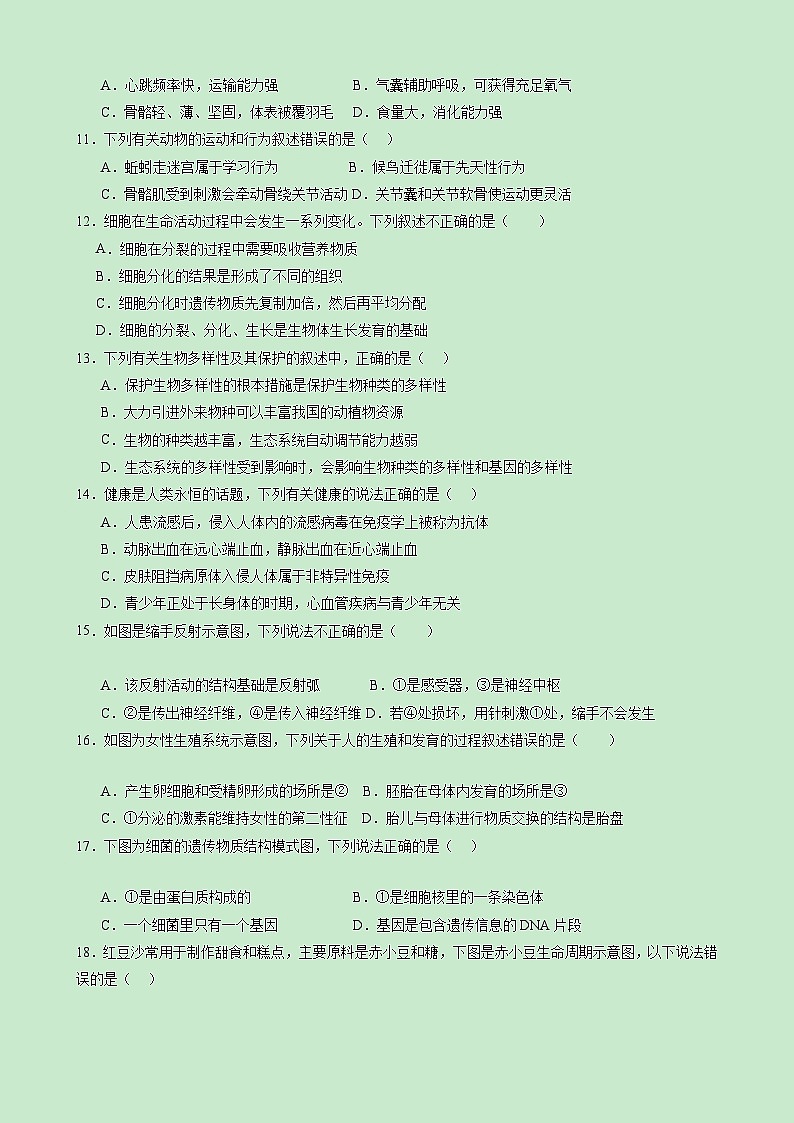 【开学考】2024年秋季高一上入学分班考试模拟卷生物（新高考通用）0302