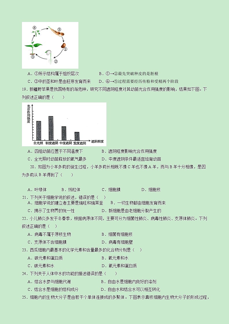 【开学考】2024年秋季高一上入学分班考试模拟卷生物（新高考通用）0303