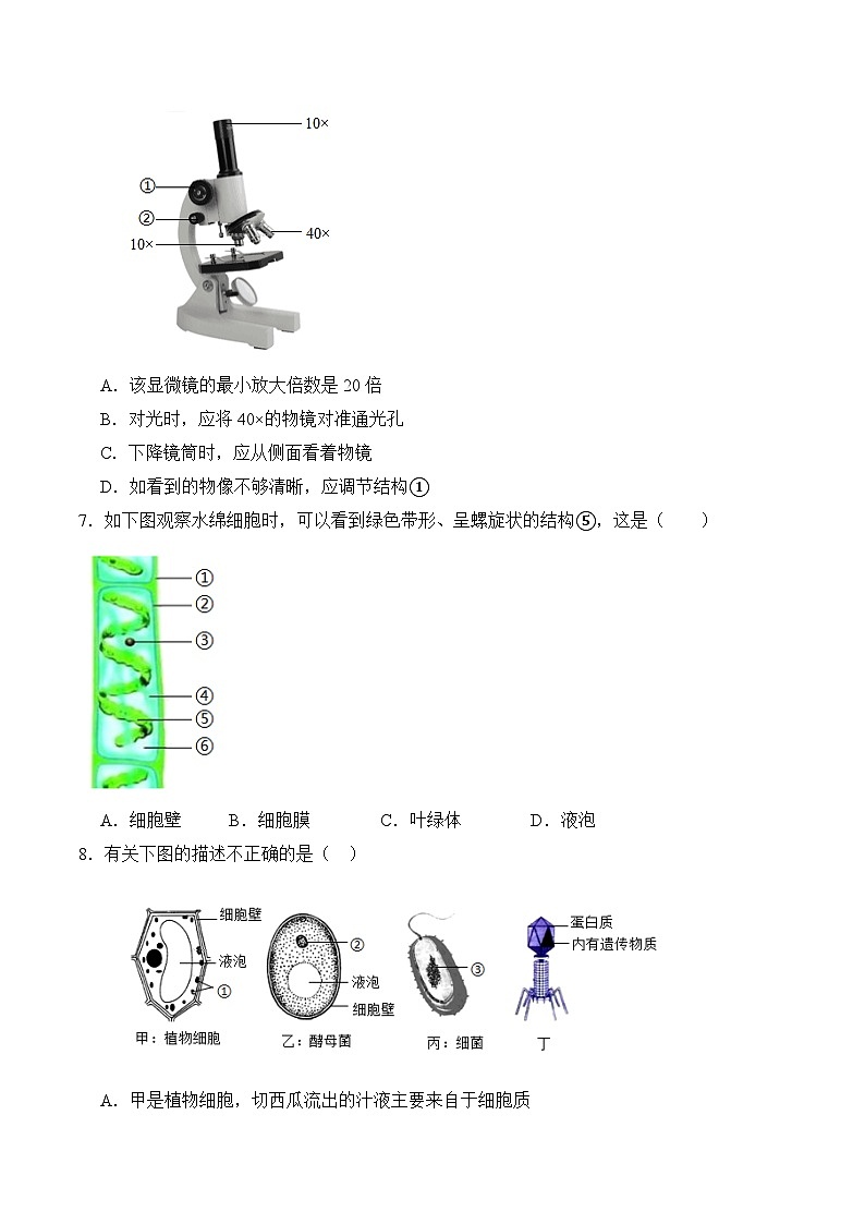 【开学考】2024年秋季高一上入学分班考试模拟卷生物（江苏专用）03