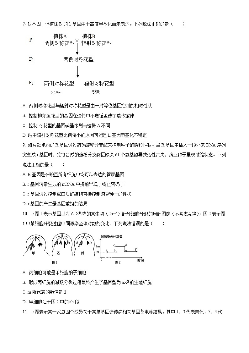 山东省威海市2023-2024学年高二下学期期末考试生物试题（原卷版）03