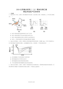[生物]2024北京重点校高二上学期期末生物真题分类汇编：神经冲动的产生和传导