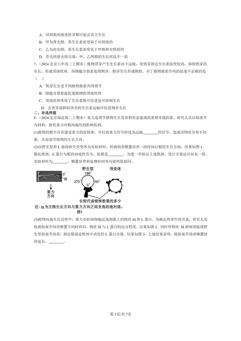 [生物]2024北京重点校高二上学期期末生物真题分类汇编：植物生长素第3页