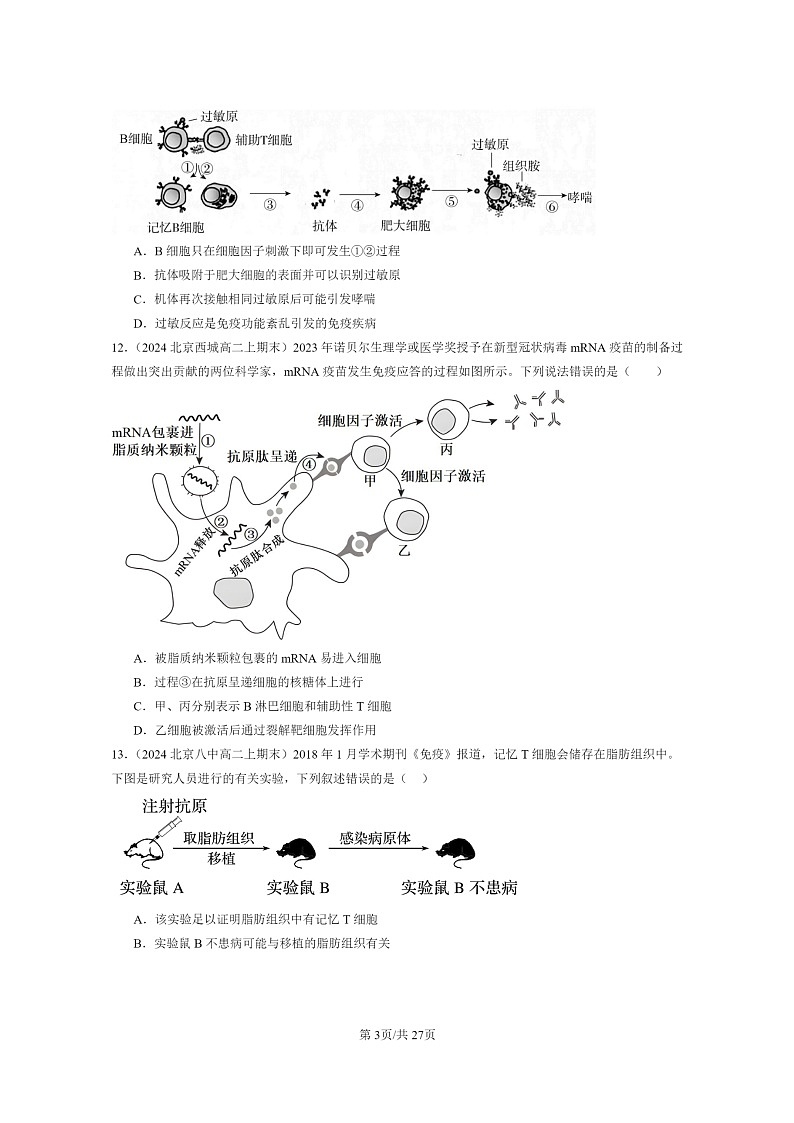 [生物]2024北京重点校高二上学期期末生物真题分类汇编：免疫调节章节综合03
