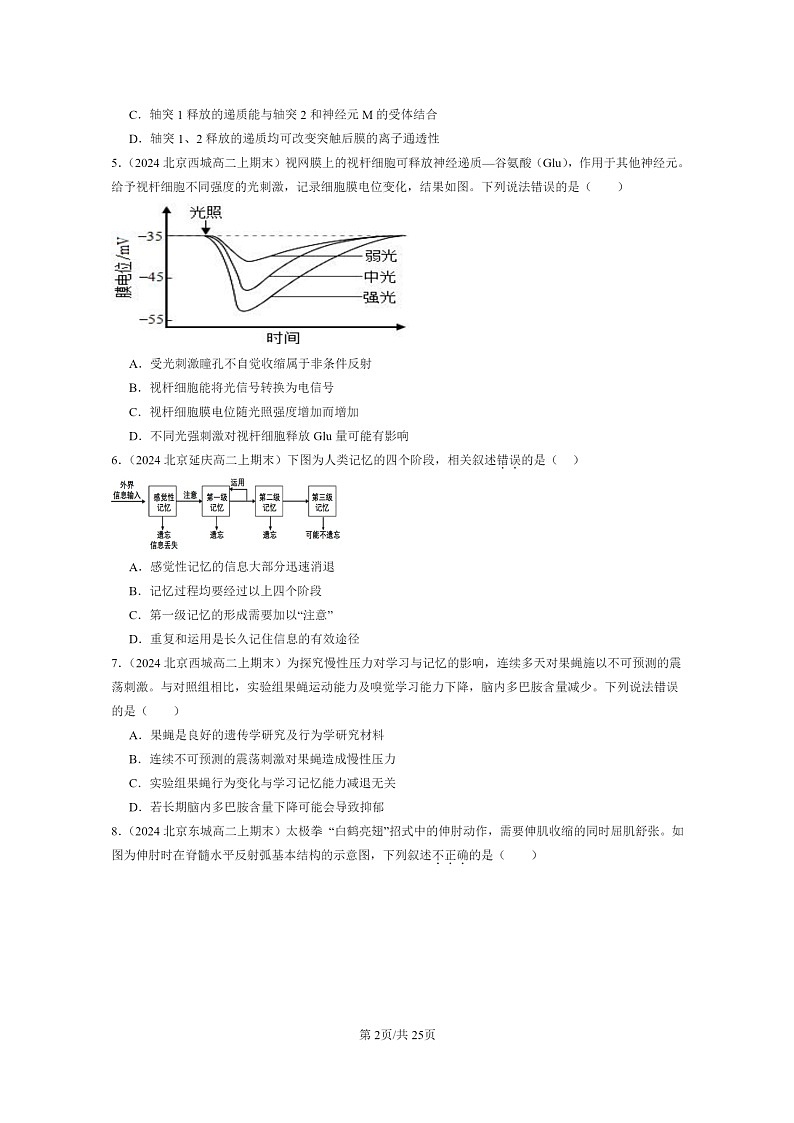 [生物]2024北京重点校高二上学期期末生物真题分类汇编：神经调节章节综合02