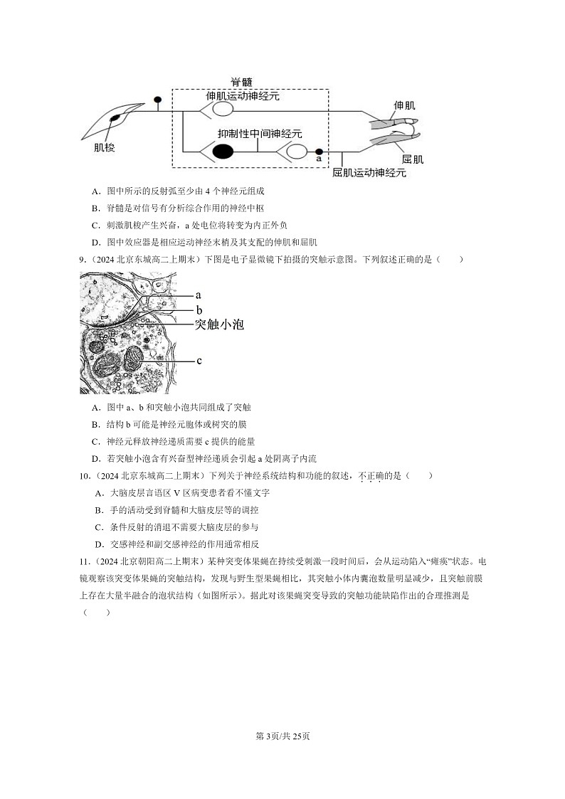 [生物]2024北京重点校高二上学期期末生物真题分类汇编：神经调节章节综合03