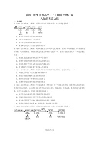 [生物]2022～2024北京高二上学期期末生物真题分类汇编：人脑的高级功能