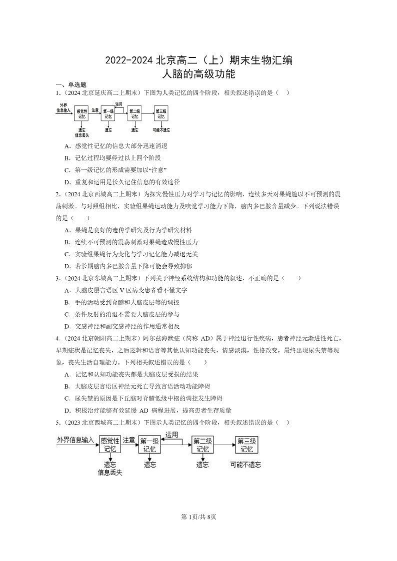 [生物]2022～2024北京高二上学期期末生物真题分类汇编：人脑的高级功能01
