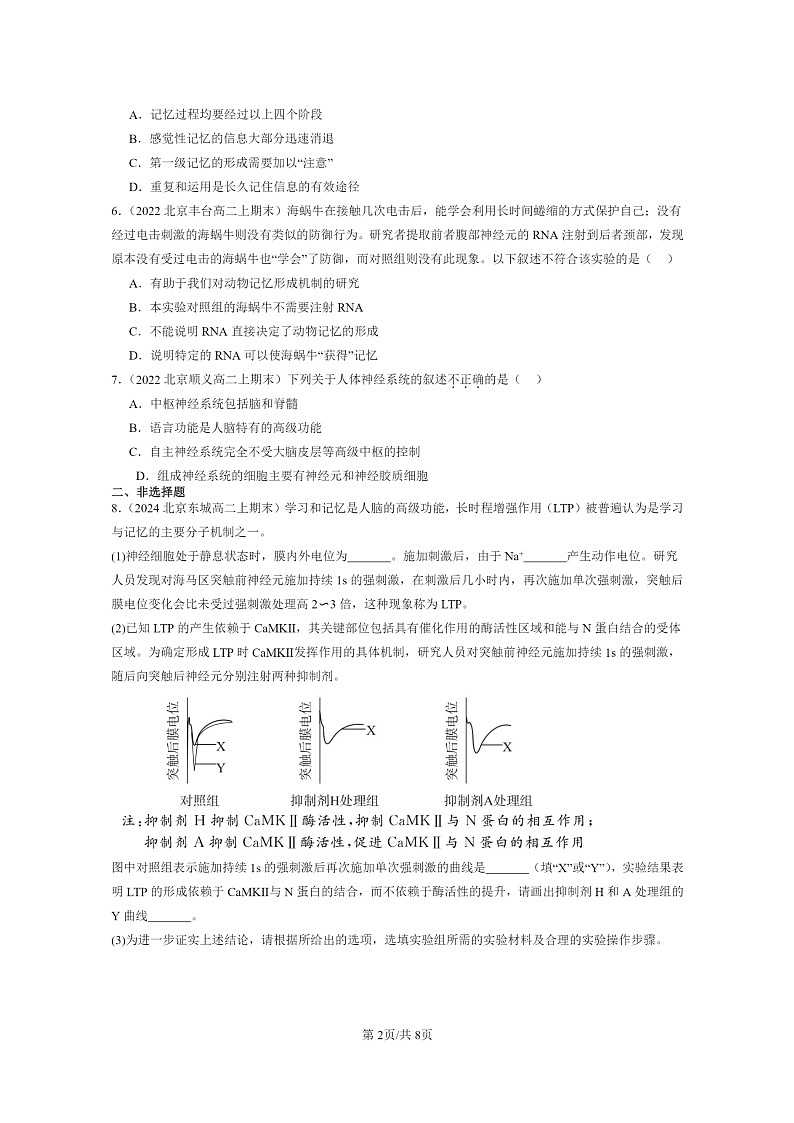 [生物]2022～2024北京高二上学期期末生物真题分类汇编：人脑的高级功能02