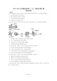 [生物]2022～2024北京重点校高二上学期期末生物真题分类汇编：免疫失调