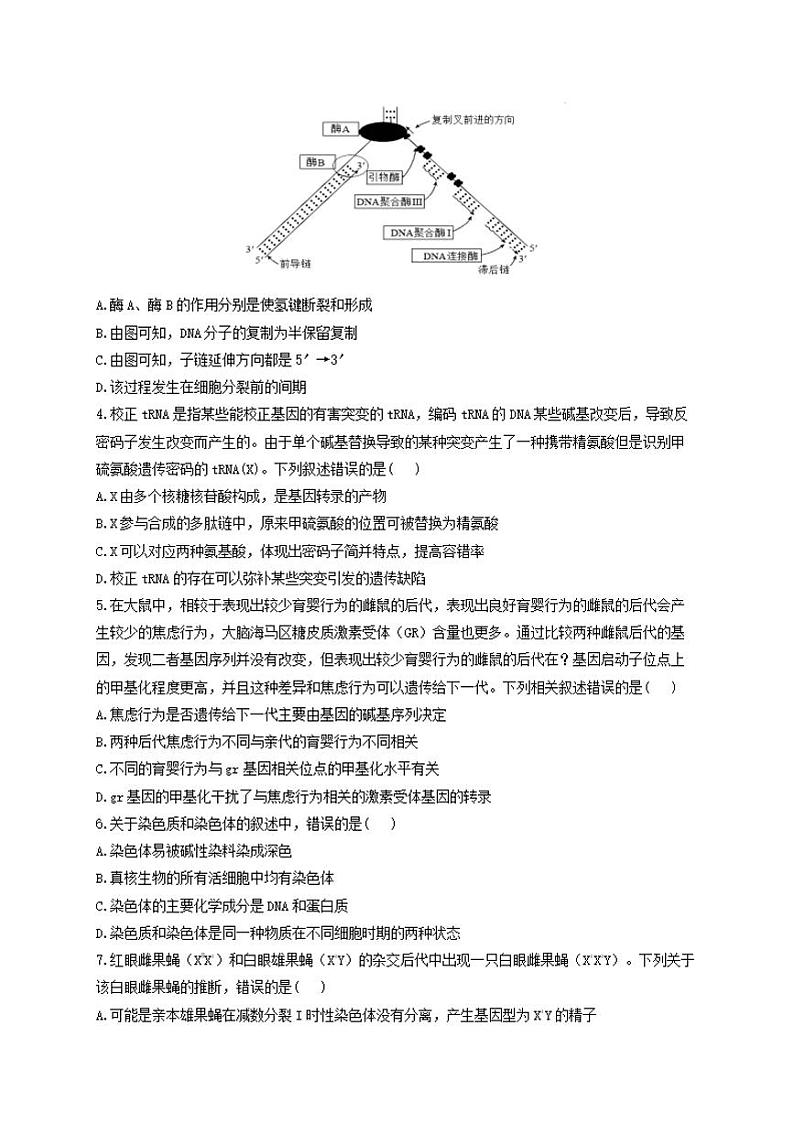 2024—2025 学年洛阳一高 高二（上）开学摸底考生物试卷及答案第2页