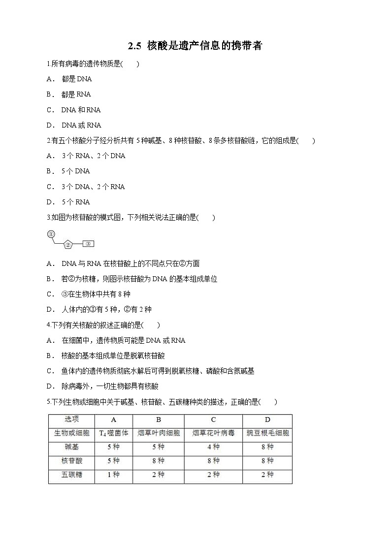 高中生物人教版 (2019) 必修一2.5 核酸是遗传信息的携带者 练习（1）（原卷版）01