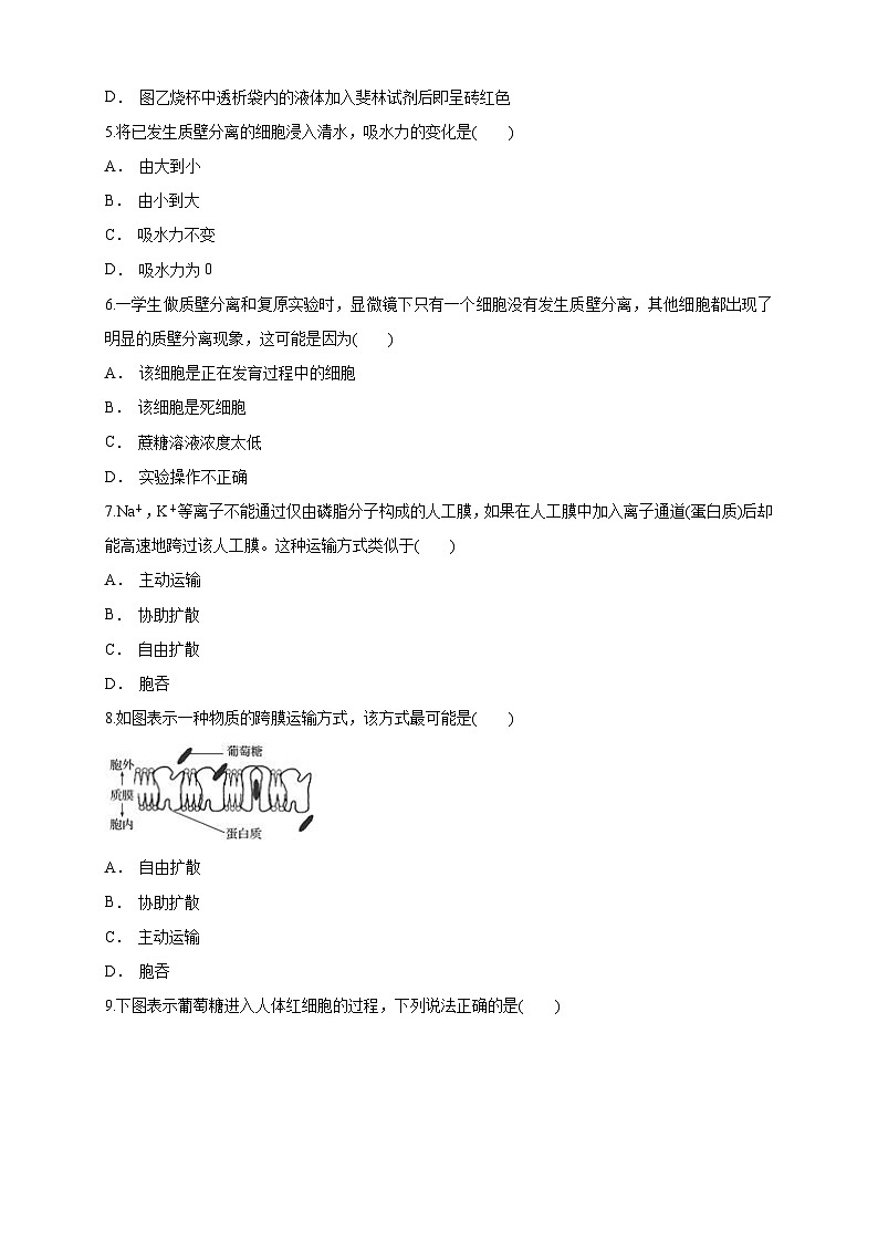 高中生物人教版 (2019) 必修一4.1 被动运输 练习（1）（原卷版）02