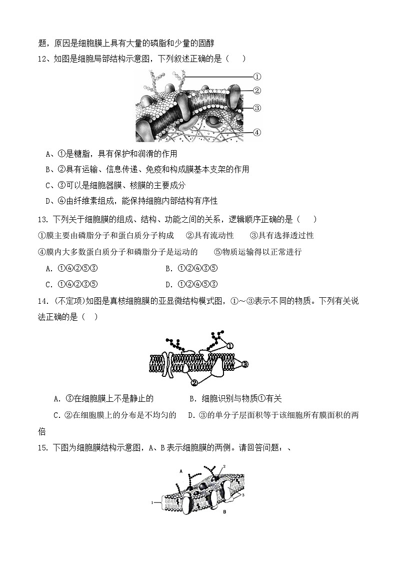 3.1 细胞膜的结构和功能 练习 【新教材】人教版（2019）高中生物必修一第3页