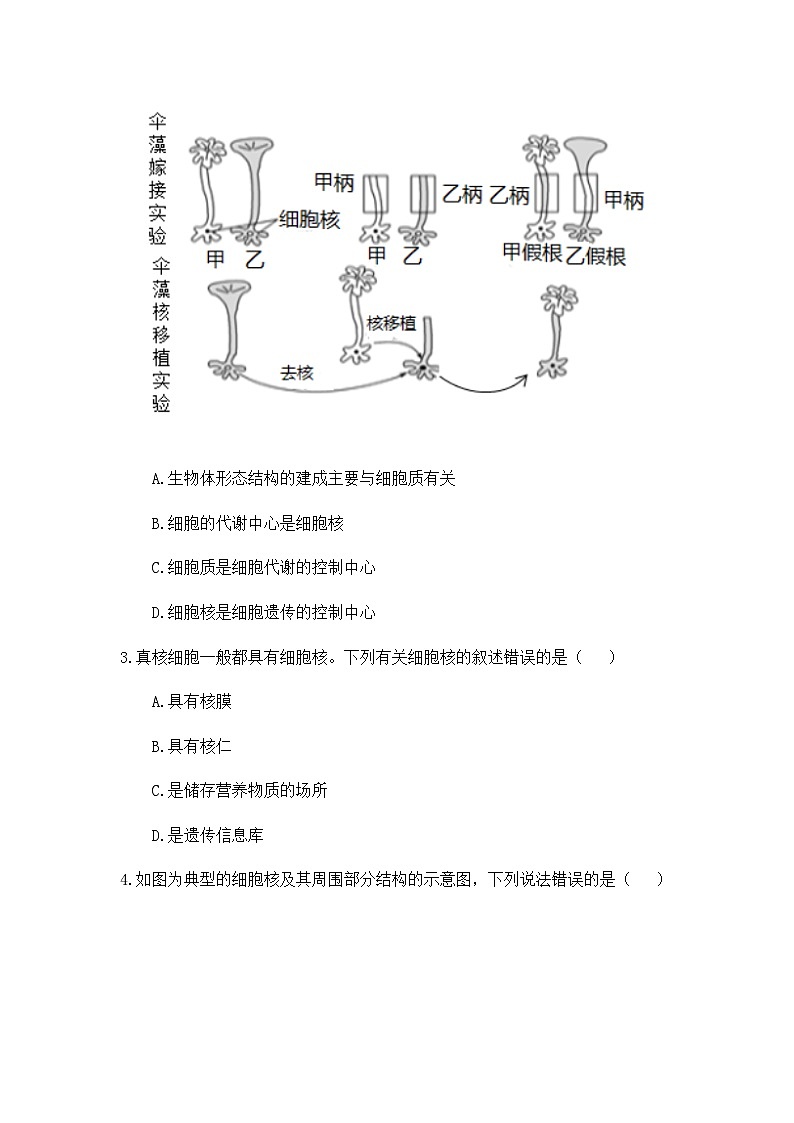 3.3 细胞核的结构和功能 练习【新教材】人教版（2019）高中生物必修一第2页