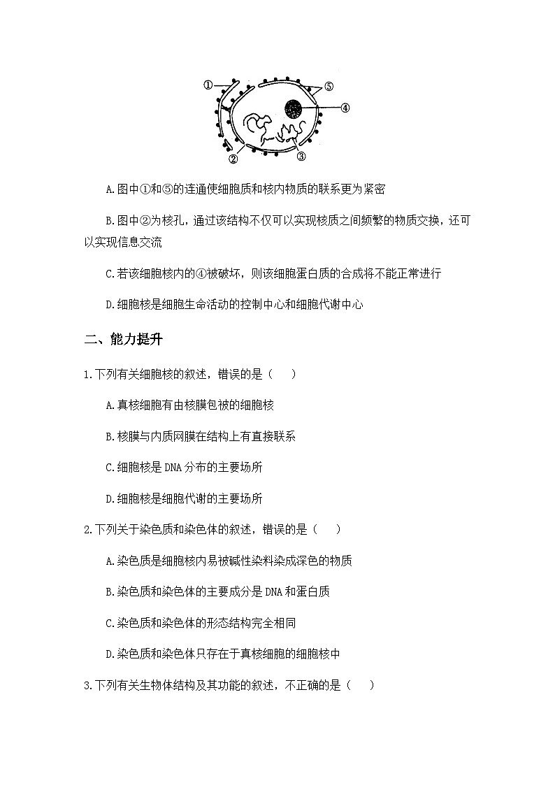 3.3 细胞核的结构和功能 练习【新教材】人教版（2019）高中生物必修一第3页