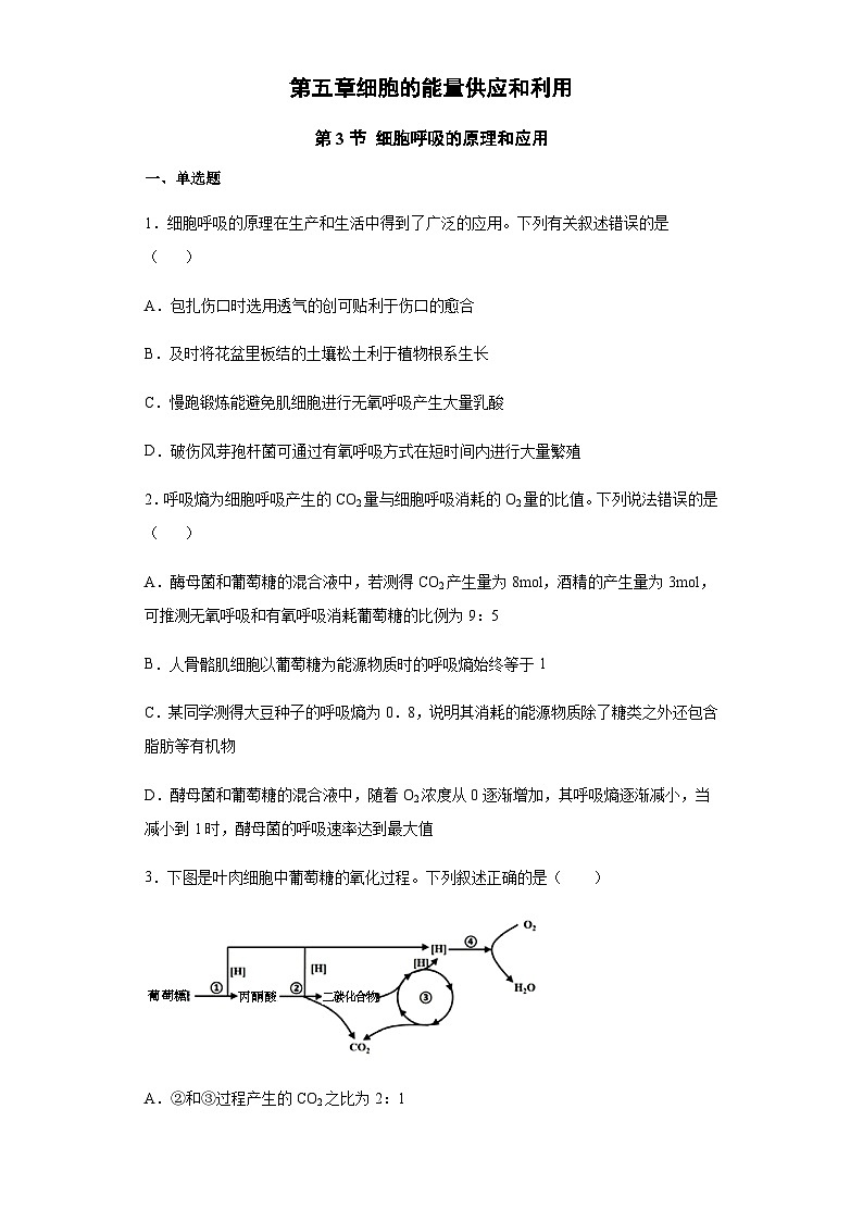 5.3 细胞呼吸的原理和应用 练习【新教材】人教版（2019）高中生物必修一第1页
