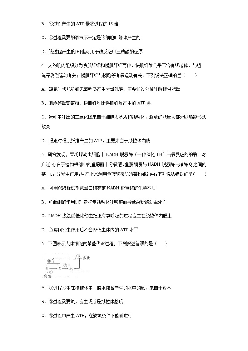 5.3 细胞呼吸的原理和应用 练习【新教材】人教版（2019）高中生物必修一第2页