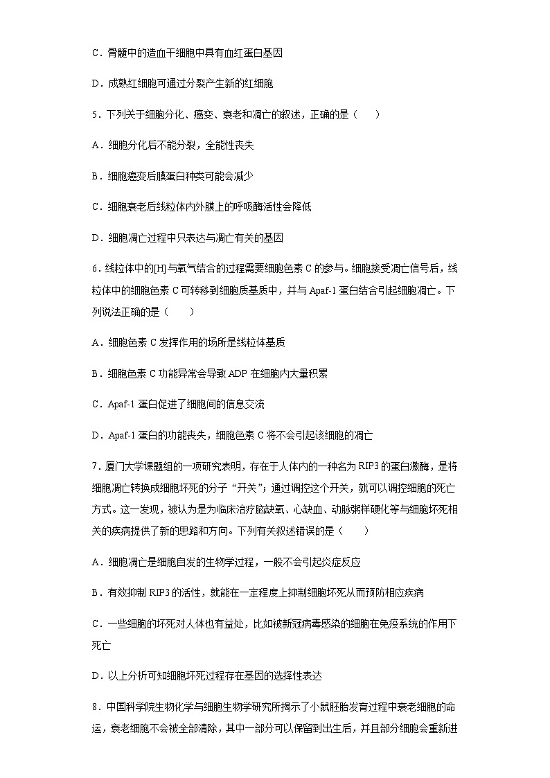 6.3 细胞的衰老和死亡 练习【新教材】人教版（2019）高中生物必修一02