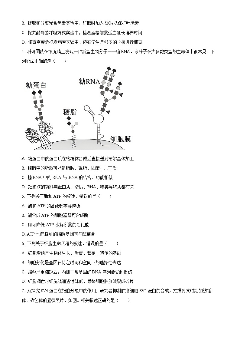 江苏省南通市2023-2024学年高一下学期期末考试生物试题（原卷版+解析版）02