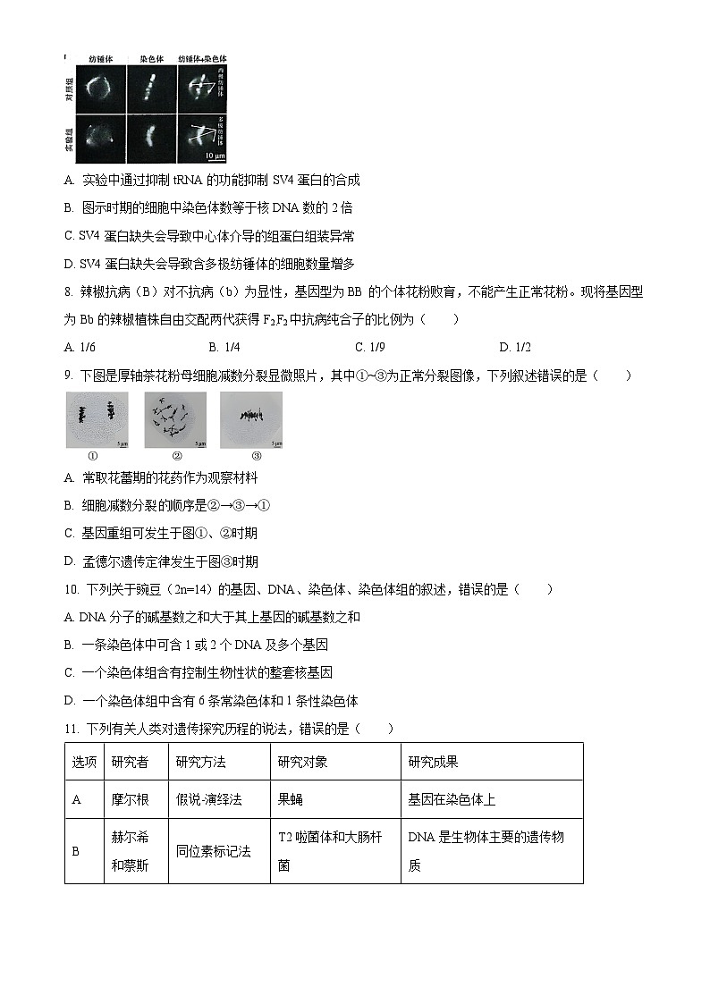 江苏省南通市2023-2024学年高一下学期期末考试生物试题（原卷版+解析版）03