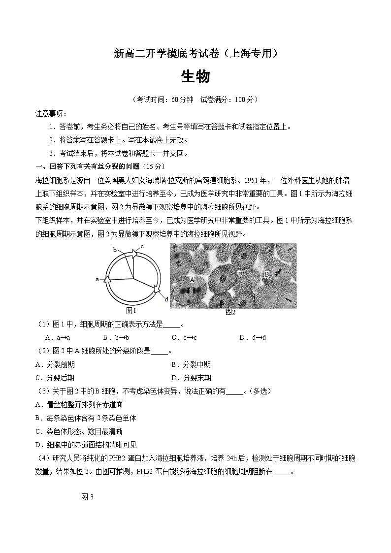 【开学考】2024秋高二上册开学摸底考试卷生物（上海专用）01