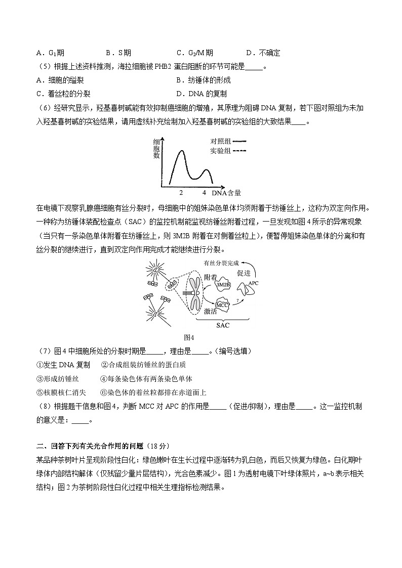 【开学考】2024秋高二上册开学摸底考试卷生物（上海专用）02
