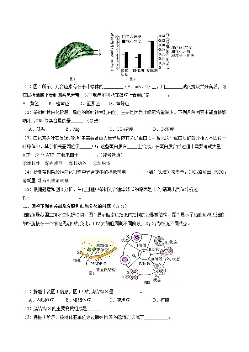 【开学考】2024秋高二上册开学摸底考试卷生物（上海专用）03