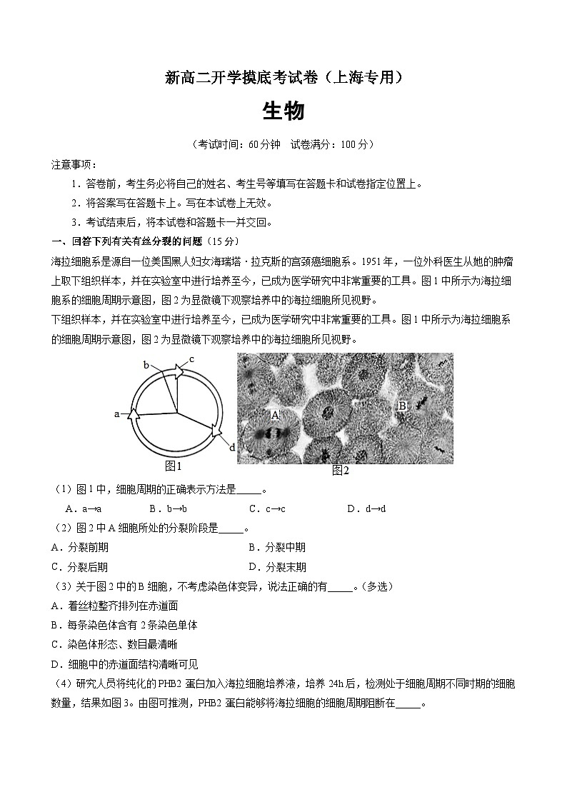 【开学考】2024秋高二上册开学摸底考试卷生物（上海专用）01